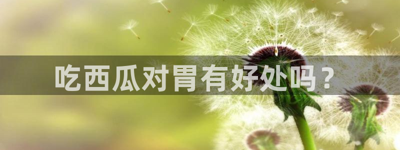 tongrentu8吃瓜吃瓜:吃西瓜对胃有好处吗?